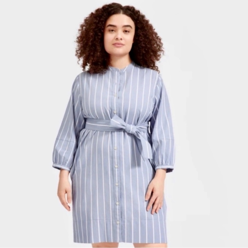 EVERLANE The Cotton Weave Collarless Shirt Dress Size 00